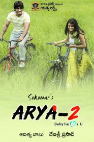 Aarya 2 (2009) Dual Audio [Hindi – Telugu] Movie HD ESub