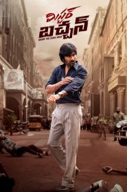 Mr Bachchan (2024) HD Dual Audio Hindi ORG 4K 1080p 720p 480p WEB-DL x264 ESubs