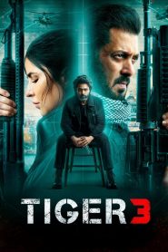 Tiger 3 (2023) Bollywood Hindi Full Movie HD ESub