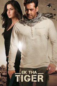 Ek Tha Tiger (2012) Bollywood Hindi Full Movie BluRay ESub