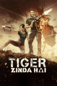 Tiger Zinda Hai (2017) Bollywood Hindi Full Movie BluRay ESub