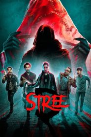 Stree 2 (2024) Hindi Movie HD ESub