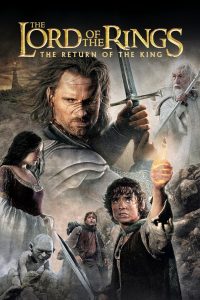 The Lord of the Rings The Return of the King (2003) REMASTERED Extended Dual Audio [Hindi – English] Full Movie BluRay ESub