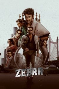 Zebra (2024) HQ Hindi Dubbed Full Movie HD