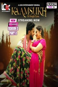 Kaam Sukh 2025 Hindi Season 02 Part 02 LookEntertainment WEB Series 720p HDRip Download