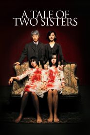 A Tale of Two Sisters (2003) Dual Audio Hindi ORG 1080p 720p 480p WEB-DL x264 ESubs