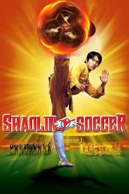 Shaolin Soccer (2001) Dual Audio Hindi ORG 1080p 720p 480p BluRay x264