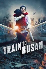 Train to Busan (2016) Dual Audio Hindi ORG 1080p 720p 480p BluRay x264