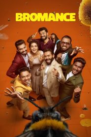 Bromance 2025 Hindi Org,Dual Audio HD Esub.mkv