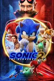 Sonic the Hedgehog 2 (2022) Dual Audio [Hindi ORG & ENG] WEB-DL 480p, 720p & 1080p | GDRive