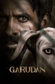 Garudan (2024) Bengali Dubbed Movie ORG 720p UNCUT WEB-DL 1Click Download