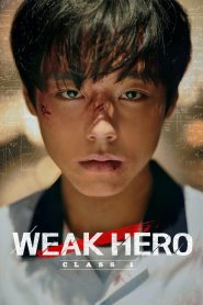 Weak Hero Class (2025) S01 Complete Dual Audio Hindi ORG 720p 480p WEB-DL x264