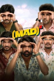 Mad Square 2025 NF Dual Audio Hindi ORG 1080p 720p 480p WEB-DL x264 ESubs